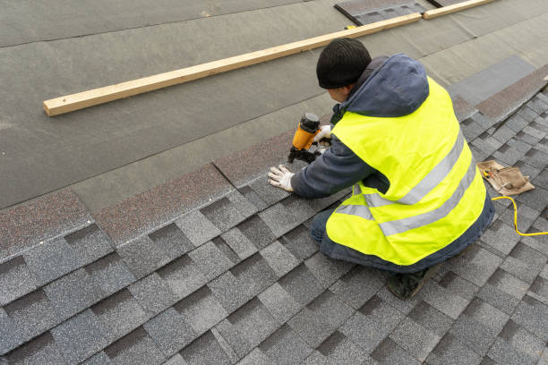 Best Shingle Roofing Installation  in Wildwood, FL