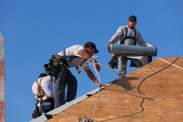 Best Residential Roof Replacement  in Wildwood, FL