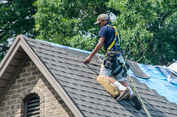 Best Flat Roof Repair Services  in Wildwood, FL